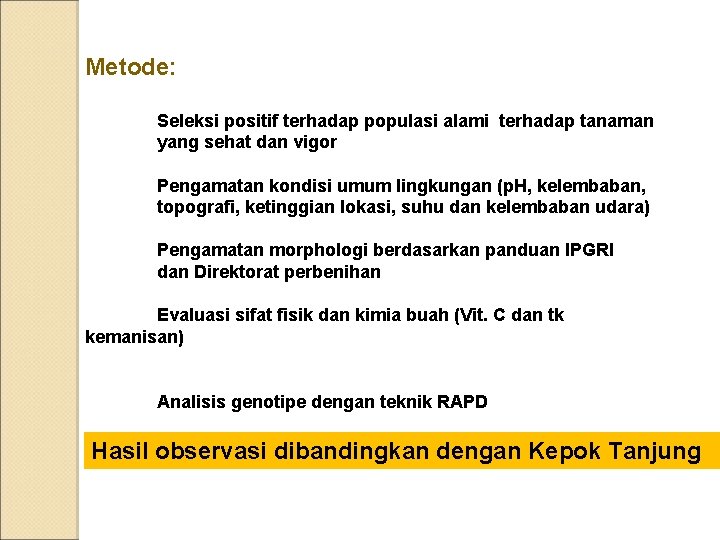 Metode: Seleksi positif terhadap populasi alami terhadap tanaman yang sehat dan vigor Pengamatan kondisi