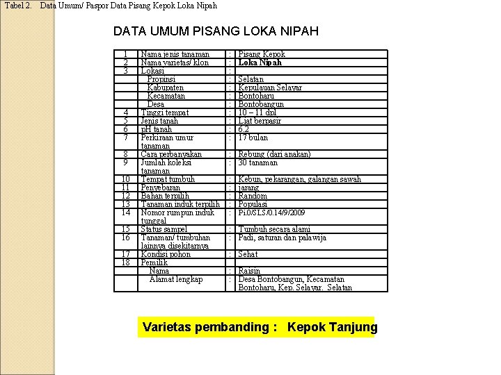 Tabel 2. Data Umum/ Paspor Data Pisang Kepok Loka Nipah DATA UMUM PISANG LOKA