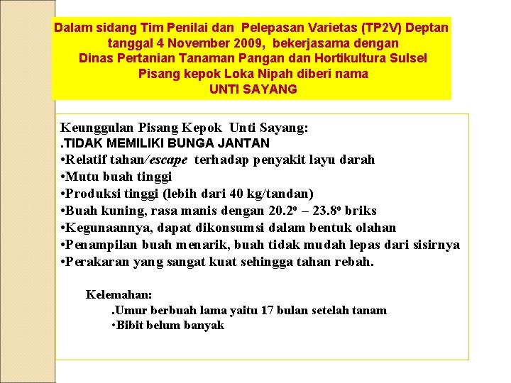 Dalam sidang Tim Penilai dan Pelepasan Varietas (TP 2 V) Deptan tanggal 4 November