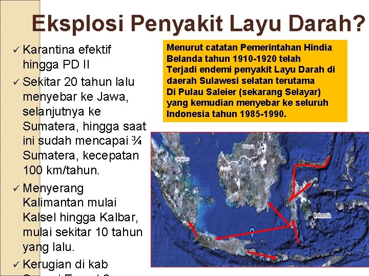 Eksplosi Penyakit Layu Darah? ü Karantina efektif hingga PD II ü Sekitar 20 tahun