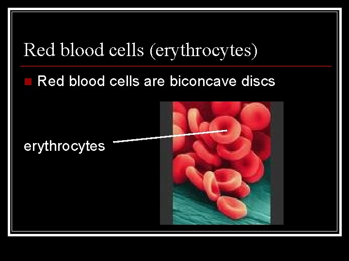 Red blood cells (erythrocytes) n Red blood cells are biconcave discs erythrocytes 