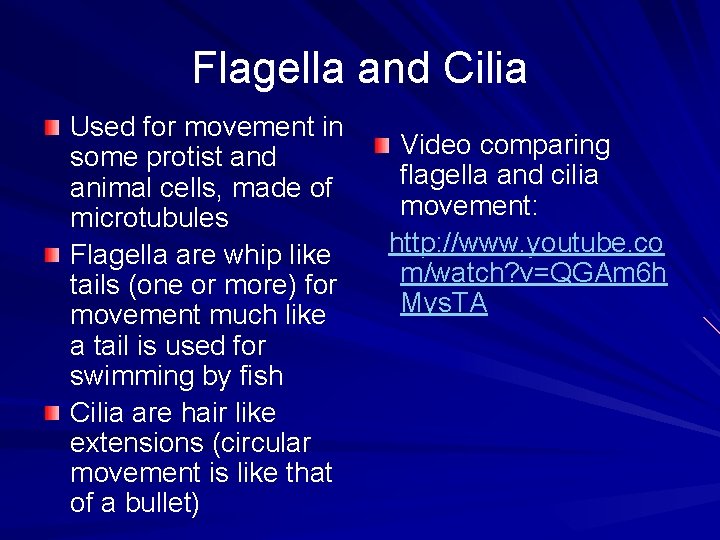 Flagella and Cilia Used for movement in some protist and animal cells, made of