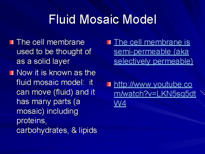 Fluid Mosaic Model The cell membrane used to be thought of as a solid