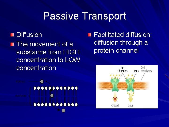 Passive Transport Diffusion The movement of a substance from HIGH concentration to LOW concentration