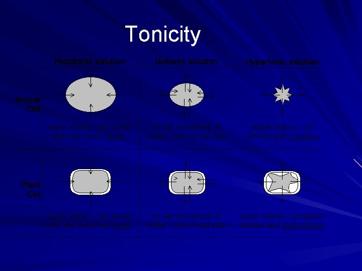 Tonicity 