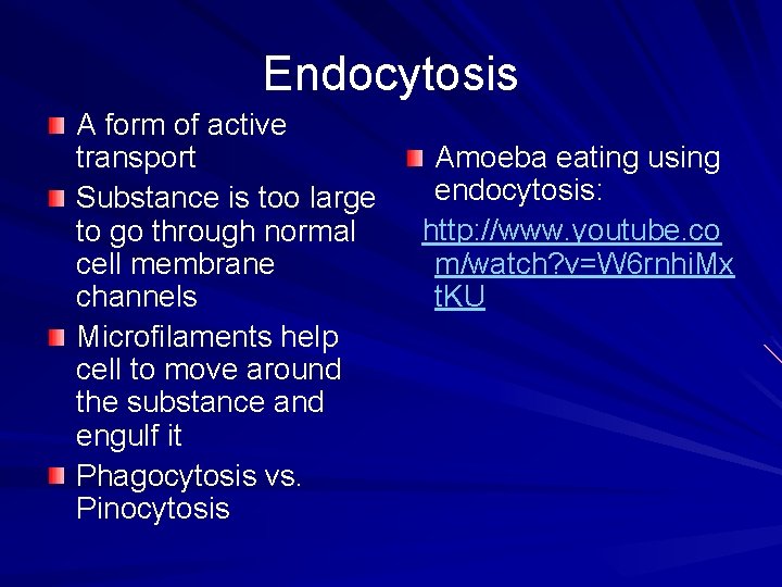 Endocytosis A form of active transport Substance is too large to go through normal