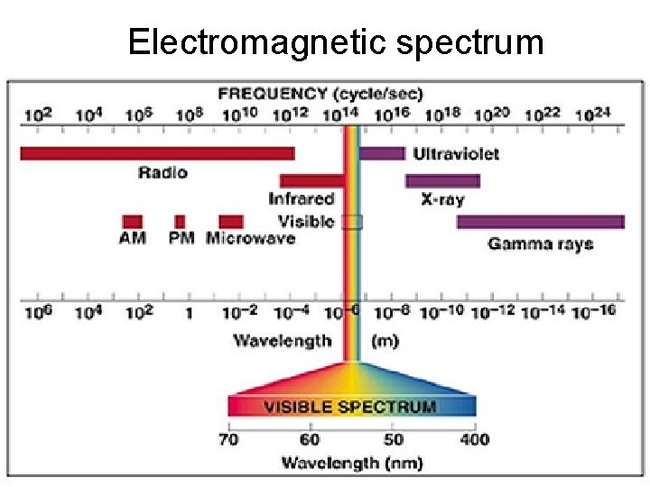 Electromagnetic spectrum 