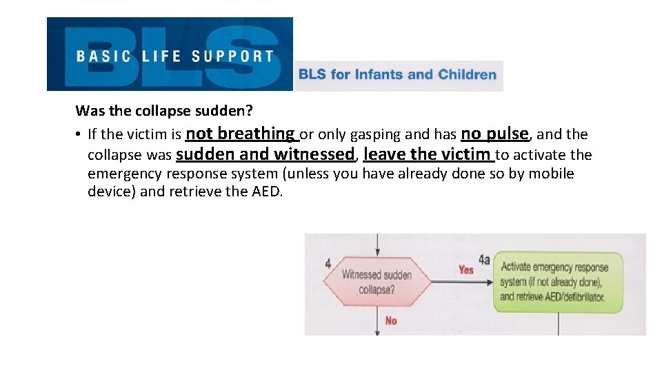 Was the collapse sudden? • If the victim is not breathing or only gasping