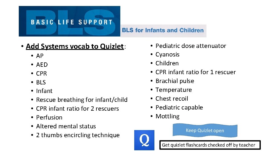  • Add Systems vocab to Quizlet: • • • AP AED CPR BLS