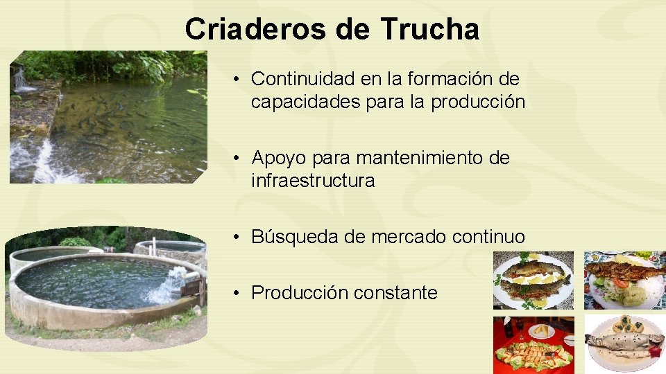 Criaderos de Trucha • Continuidad en la formación de capacidades para la producción •