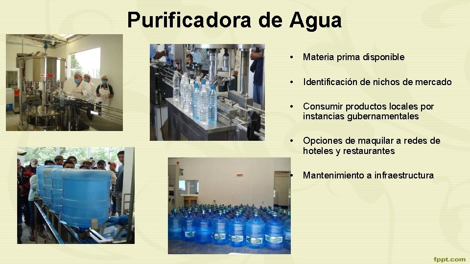 Purificadora de Agua • Materia prima disponible • Identificación de nichos de mercado •