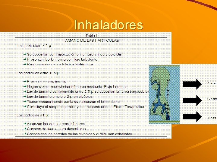 Inhaladores 