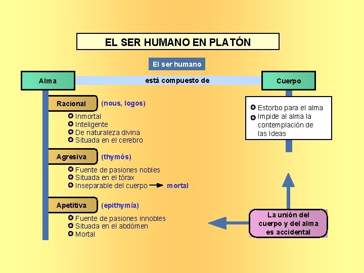 EL SER HUMANO EN PLATÓN El ser humano está compuesto de Alma Racional (nous,