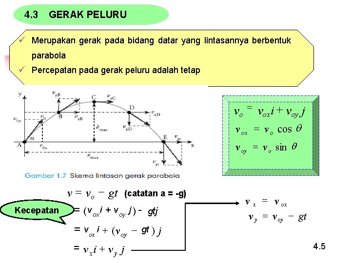 4. 3 GERAK PELURU ü Merupakan gerak pada bidang datar yang lintasannya berbentuk parabola