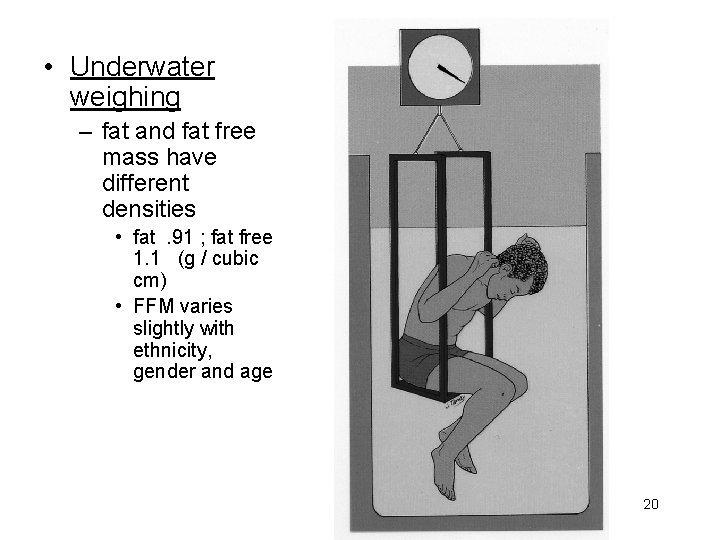  • Underwater weighing – fat and fat free mass have different densities •