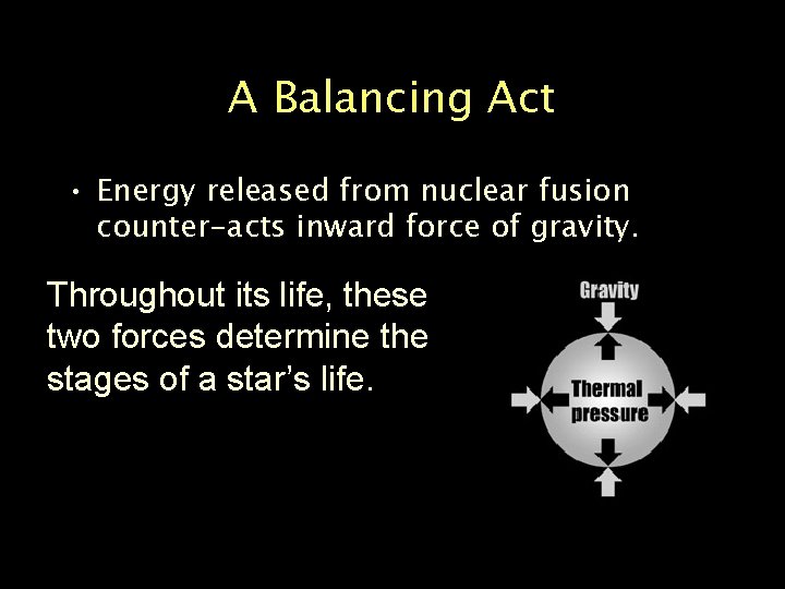 A Balancing Act • Energy released from nuclear fusion counter-acts inward force of gravity.