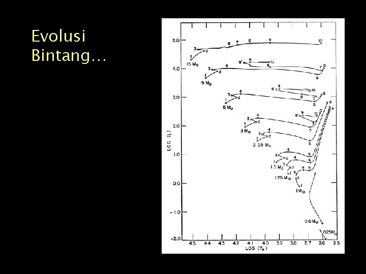 Evolusi Bintang… 