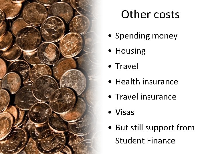Other costs • Spending money • Housing • Travel • Health insurance • Travel
