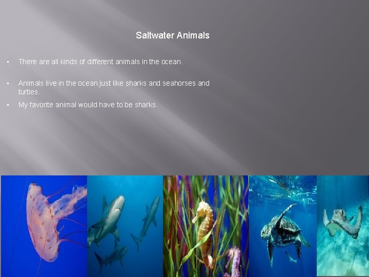 Saltwater Animals • There all kinds of different animals in the ocean. • Animals