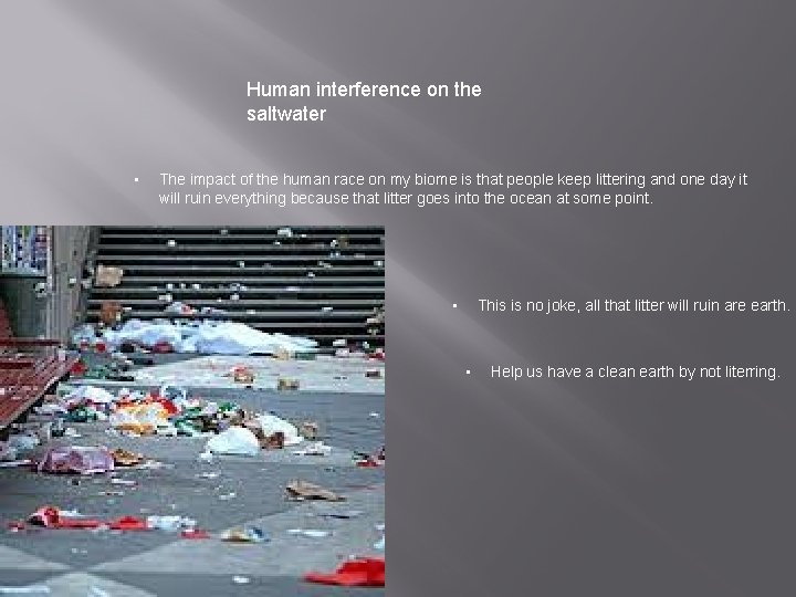 Human interference on the saltwater • The impact of the human race on my