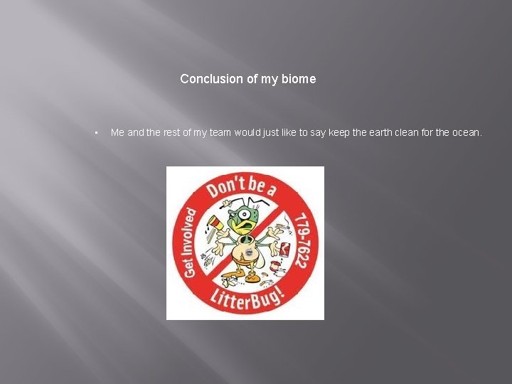 Conclusion of my biome • Me and the rest of my team would just