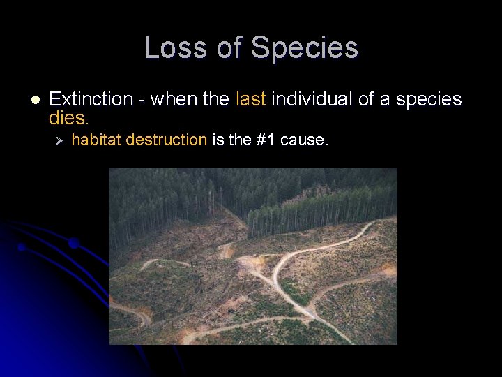 Loss of Species l Extinction - when the last individual of a species dies.