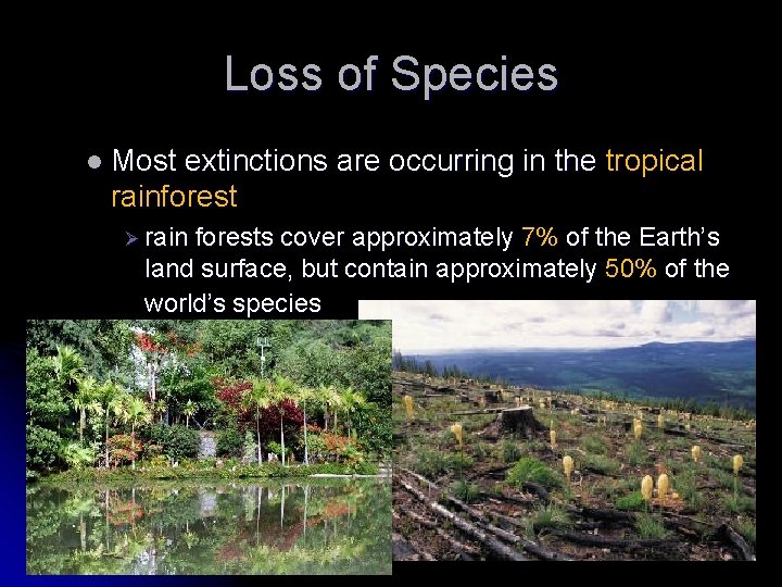 Loss of Species l Most extinctions are occurring in the tropical rainforest Ø rain