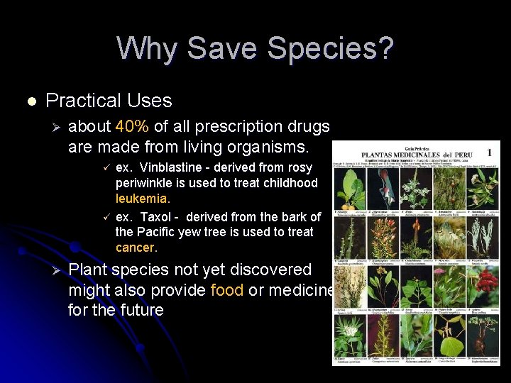 Why Save Species? l Practical Uses Ø about 40% of all prescription drugs are