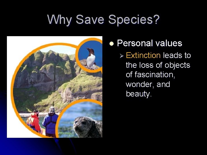 Why Save Species? l Personal values Ø Extinction leads to the loss of objects