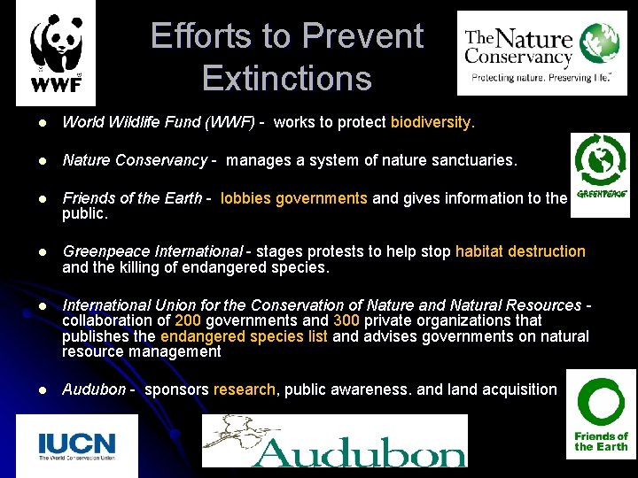 Efforts to Prevent Extinctions l World Wildlife Fund (WWF) - works to protect biodiversity.