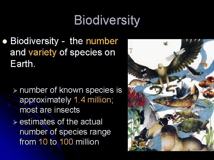 Biodiversity l Biodiversity - the number and variety of species on Earth. Ø number