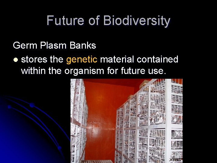 Future of Biodiversity Germ Plasm Banks l stores the genetic material contained within the