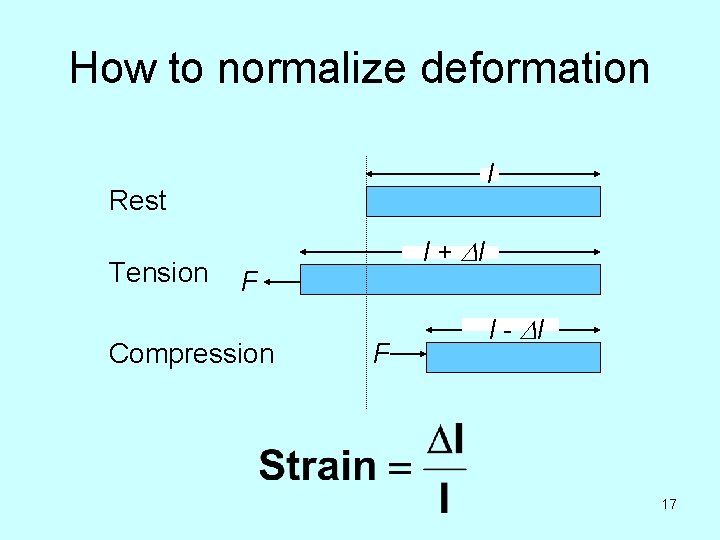 How to normalize deformation l Rest Tension l + Dl F Compression F l