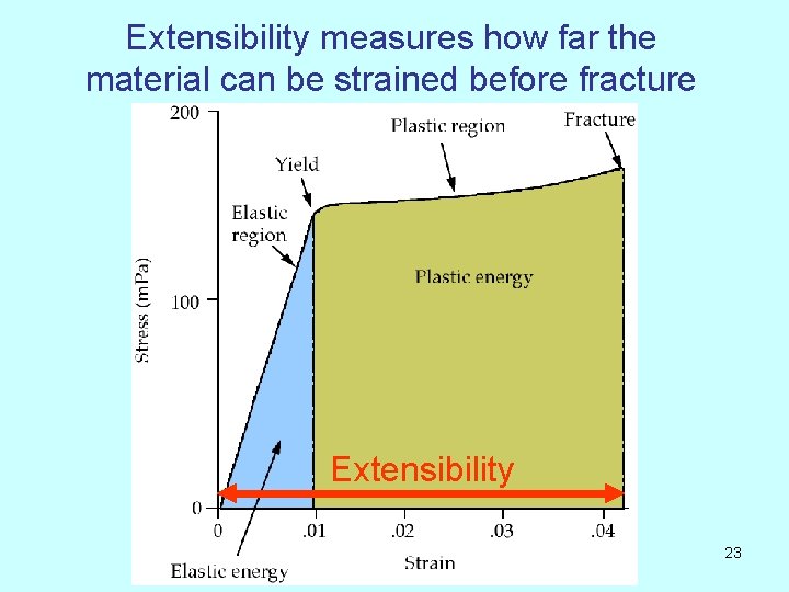 Extensibility measures how far the material can be strained before fracture Extensibility 23 
