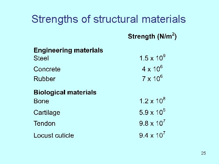 Strengths of structural materials 25 