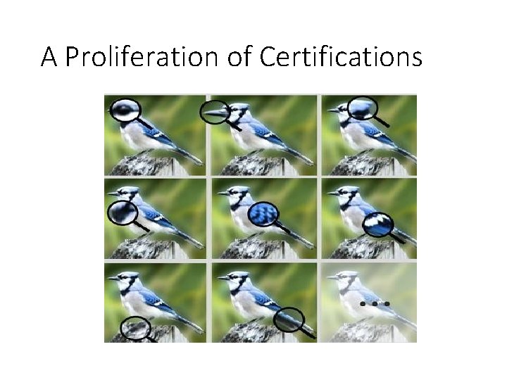 A Proliferation of Certifications 