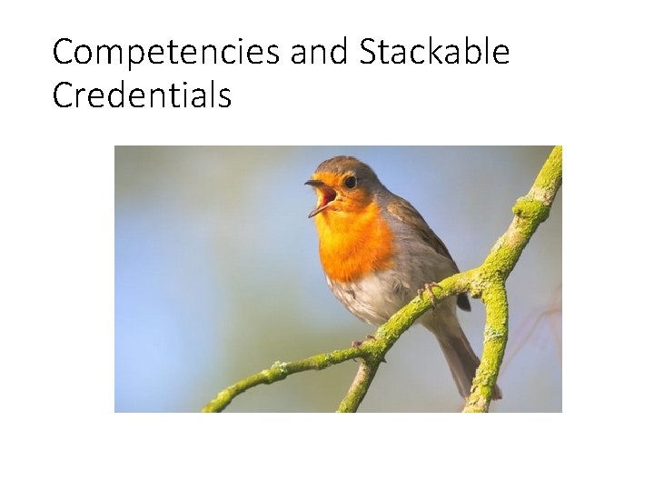 Competencies and Stackable Credentials 