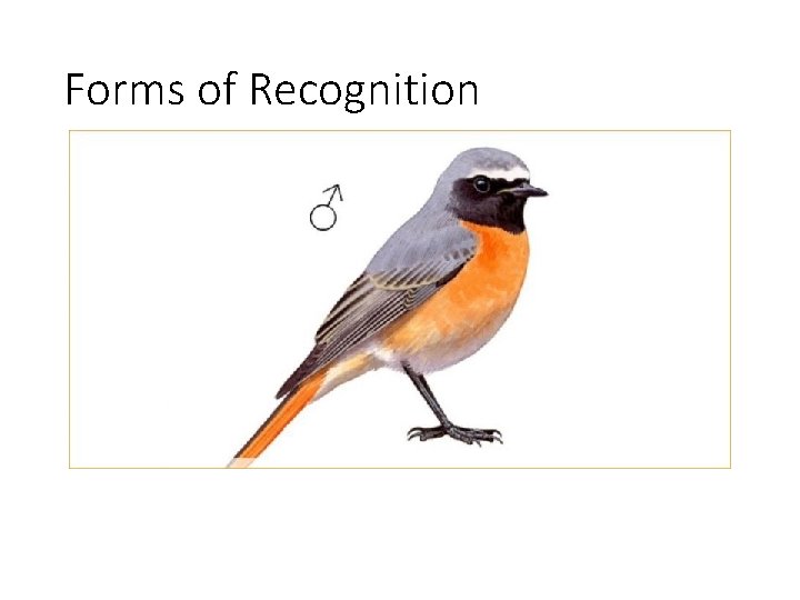 Forms of Recognition 