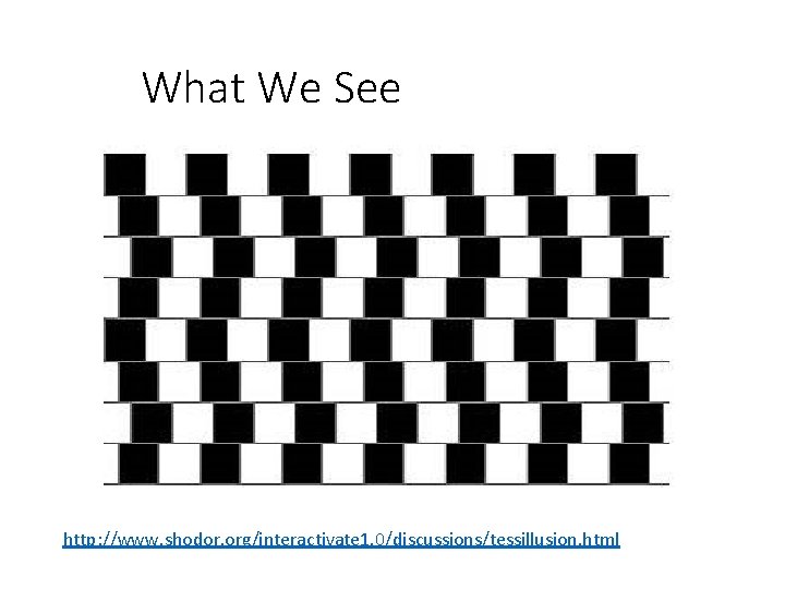 What We See http: //www. shodor. org/interactivate 1. 0/discussions/tessillusion. html 