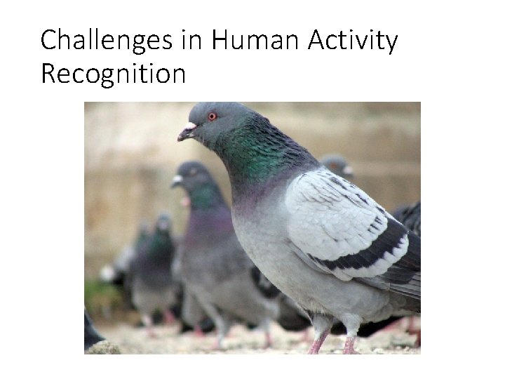 Challenges in Human Activity Recognition 