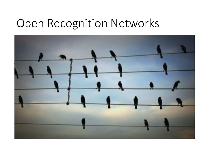 Open Recognition Networks 