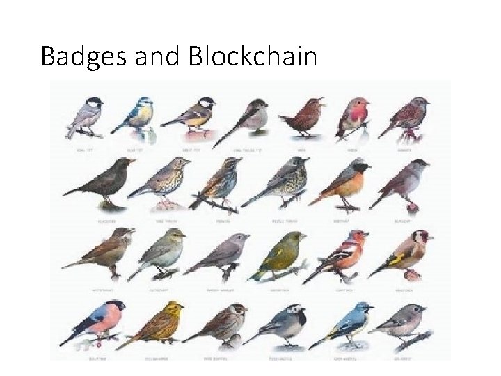 Badges and Blockchain 