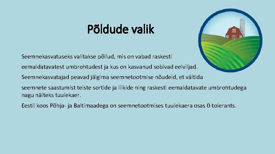 Põldude valik Seemnekasvatuseks valitakse põllud, mis on vabad raskesti eemaldatavatest umbrohtudest ja kus on