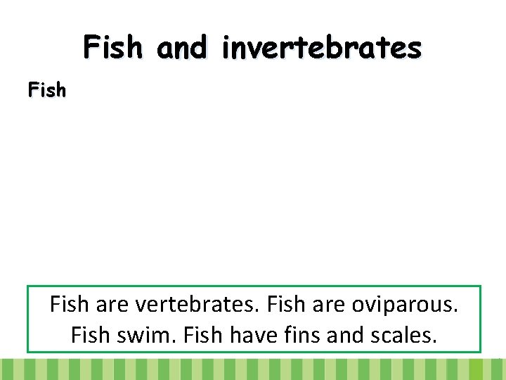 Fish and invertebrates Fish are vertebrates. Fish are oviparous. Fish swim. Fish have fins