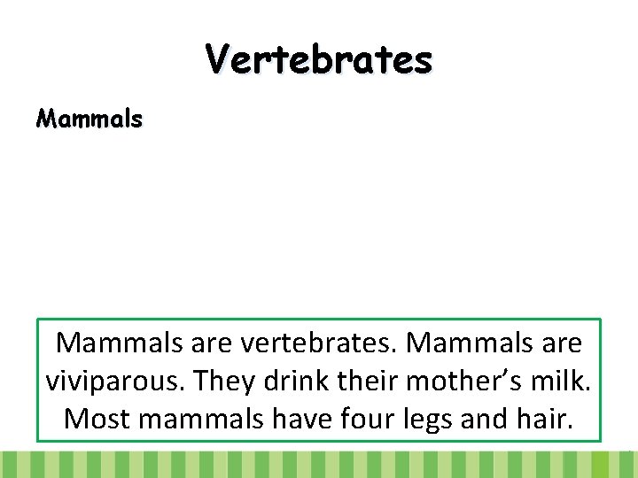 Vertebrates Mammals are vertebrates. Mammals are viviparous. They drink their mother’s milk. Most mammals