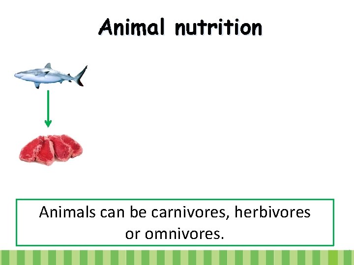 Animal nutrition Animals can be carnivores, herbivores or omnivores. 