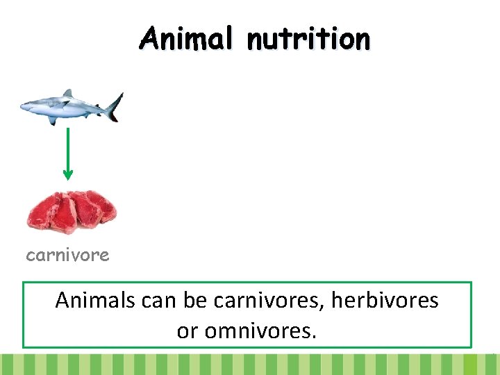 Animal nutrition carnivore Animals can be carnivores, herbivores or omnivores. 