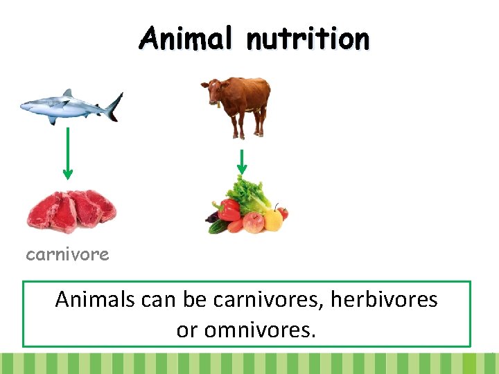 Animal nutrition carnivore Animals can be carnivores, herbivores or omnivores. 