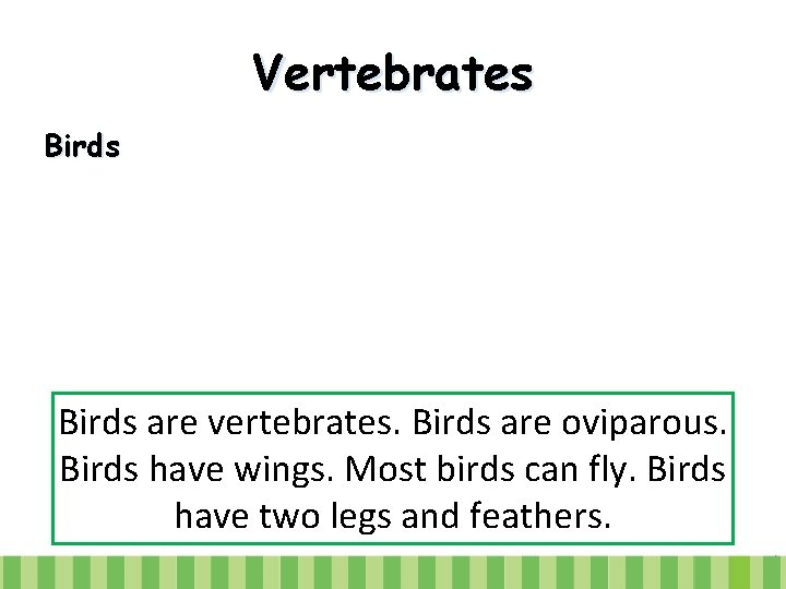 Vertebrates Birds are vertebrates. Birds are oviparous. Birds have wings. Most birds can fly.