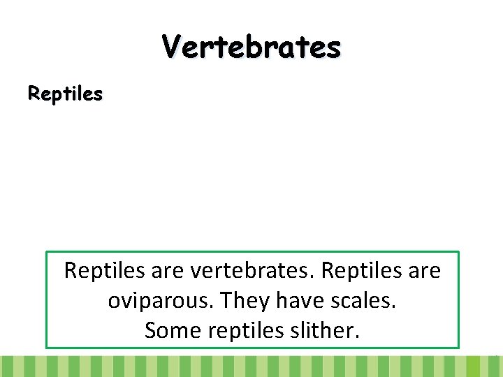 Vertebrates Reptiles are vertebrates. Reptiles are oviparous. They have scales. Some reptiles slither. 